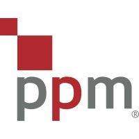 project portfolio management (ppm) logo image