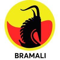 bramali (boissons rafraîchissantes du mali) - groupe castel logo image