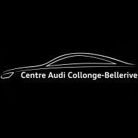 centre audi collonge-bellerive logo image