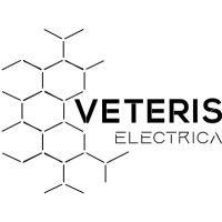 veteris electrica pvt ltd logo image