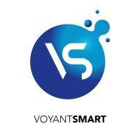 voyant smart software and trading ltd. logo image