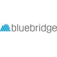 bluebridge digital logo image