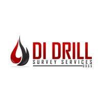 di drill survey services inc. logo image