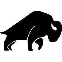 bison media (nick symmonds, llc.) logo image