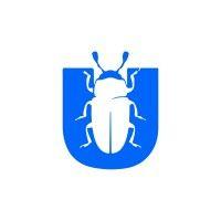 ybugs logo image