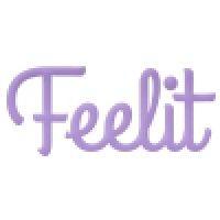 feelit logo image