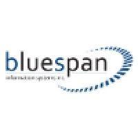 bluespan inc logo image