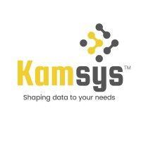 kamsys techsolutions india private limited