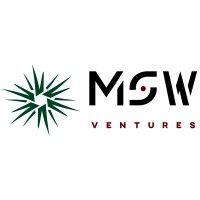 msw ventures logo image