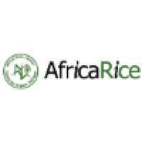 africa rice center logo image