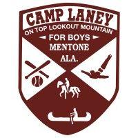 camp laney logo image