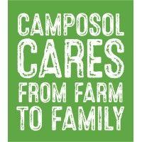 camposol s. a. logo image