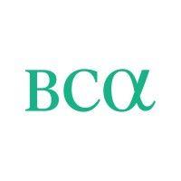 bca research logo image