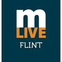 the flint journal logo image