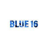 blue 16 logo image