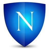 natalliance securities. logo image