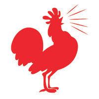 roost chicken & biscuits logo image