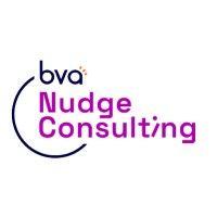 bva nudge consulting logo image