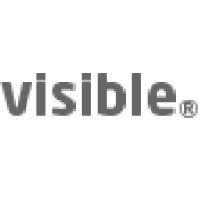 visible assets logo image