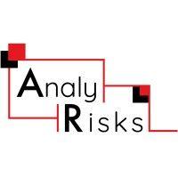 analyrisks logo image