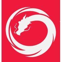 vault dragon medical logo image