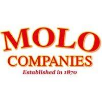 molo companies logo image