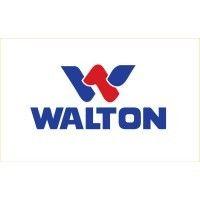 walton hi-tech industries plc logo image