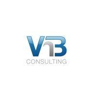 vnb consulting services logo image