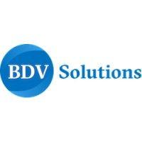 bdv solutions