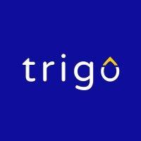 trigo solar