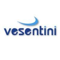 vesentini s.r.l. logo image