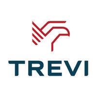 trevi logo image