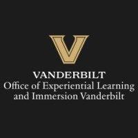 immersion vanderbilt logo image