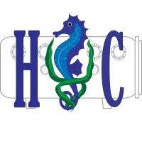 hyperbaric consulting llc logo image