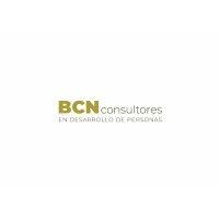 bcn consultores en desarrollo rrhh logo image