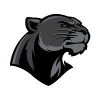 thonon black panthers logo image