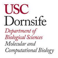 usc molecular and computational biology logo image