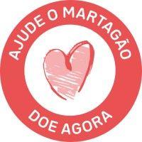 hospital martagão gesteira logo image