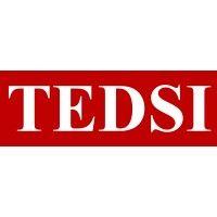 tedsi infrastructure group logo image