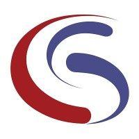 syntelli solutions inc. logo image