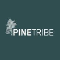 pine tribe logo image