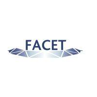 facet ltd. logo image