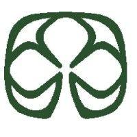 shamrock international opportunities logo image