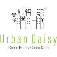 urban daisy logo image