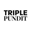 logo of Triplepundit