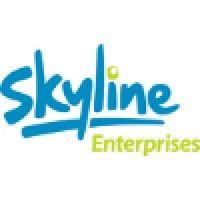 skyline enterprises logo image