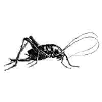 three crickets logo image