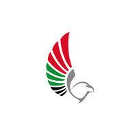 uae general civil aviation authority (gcaa) logo image