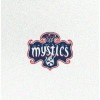 washington mystics logo image