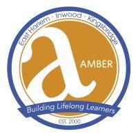 amber charter schools logo image